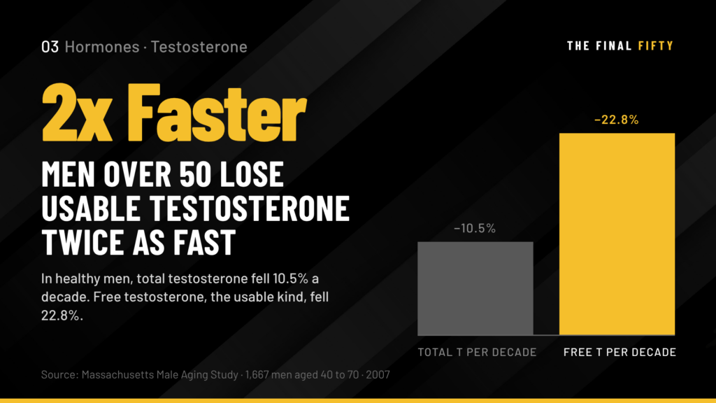 How Testosterone Works in the Male Body and Why It Declines After 50